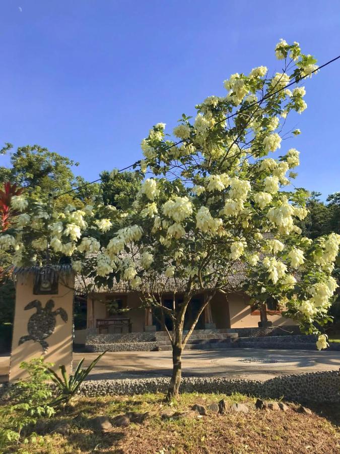 Urbanos Jungle Hostel 圣卡塔利娜岛 外观 照片
