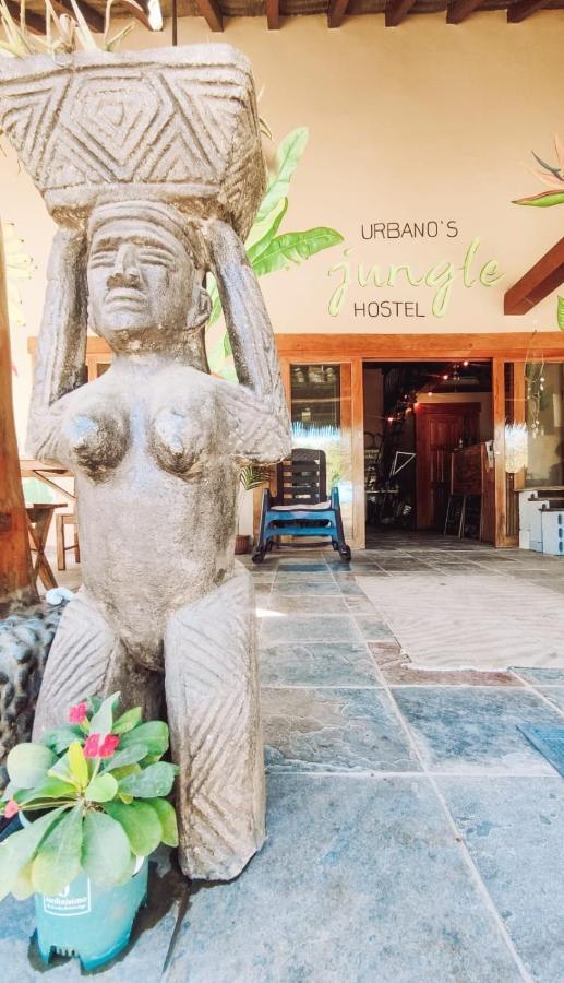 Urbanos Jungle Hostel 圣卡塔利娜岛 外观 照片