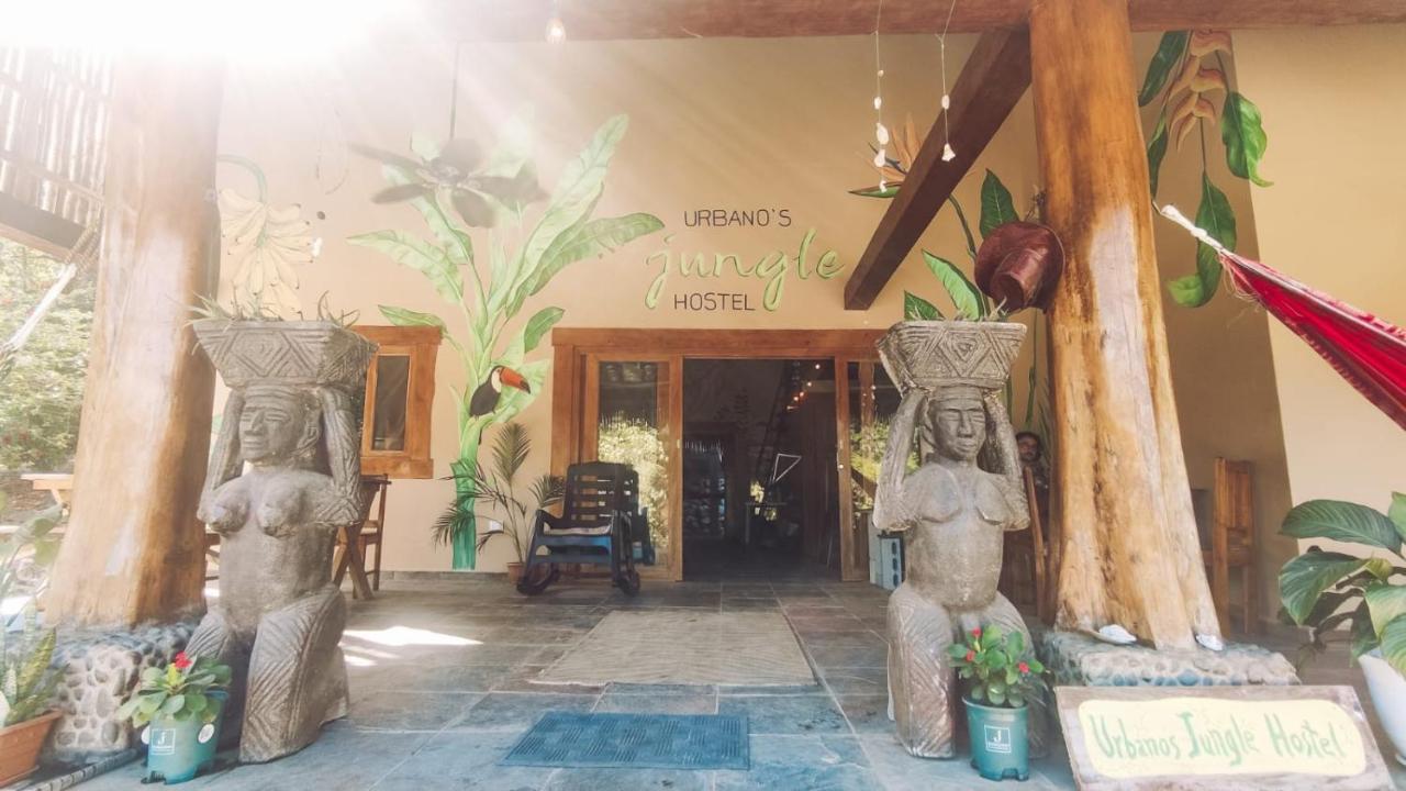 Urbanos Jungle Hostel 圣卡塔利娜岛 外观 照片