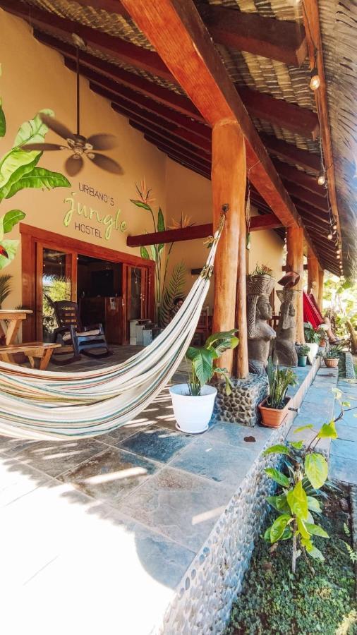 Urbanos Jungle Hostel 圣卡塔利娜岛 外观 照片