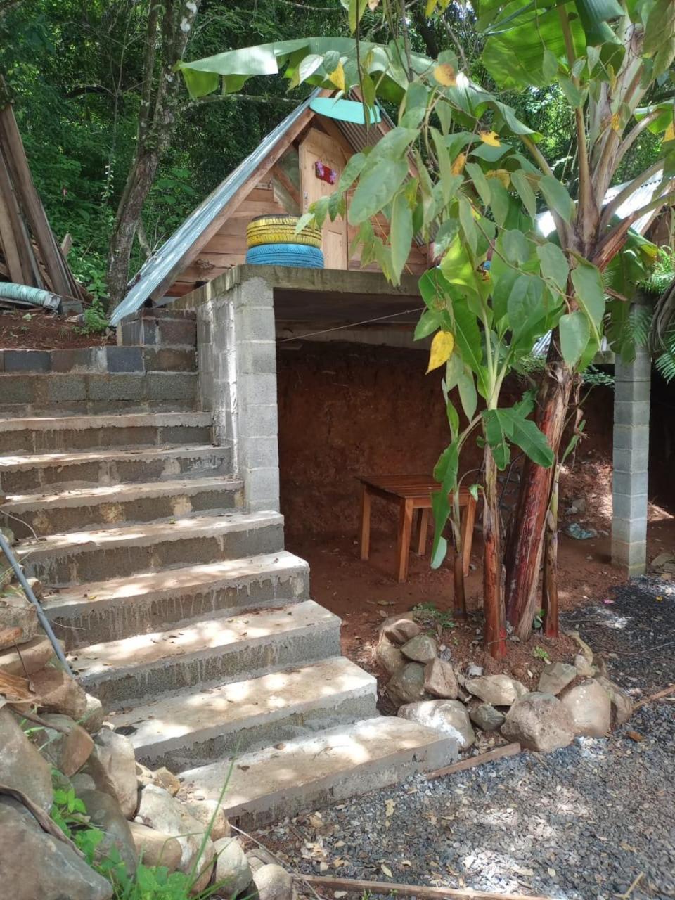 Urbanos Jungle Hostel 圣卡塔利娜岛 外观 照片