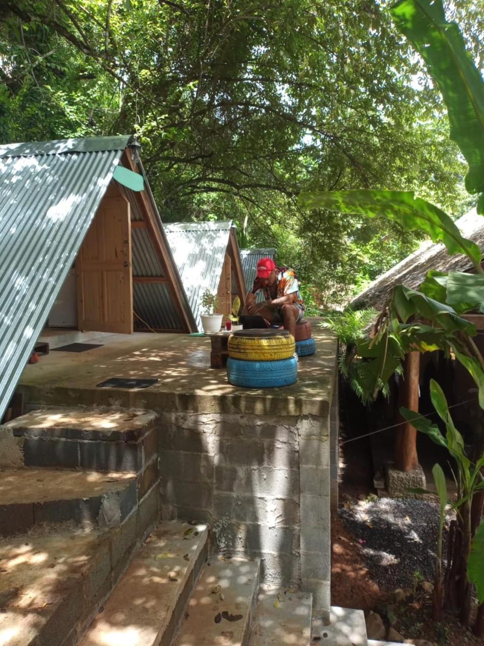 Urbanos Jungle Hostel 圣卡塔利娜岛 外观 照片