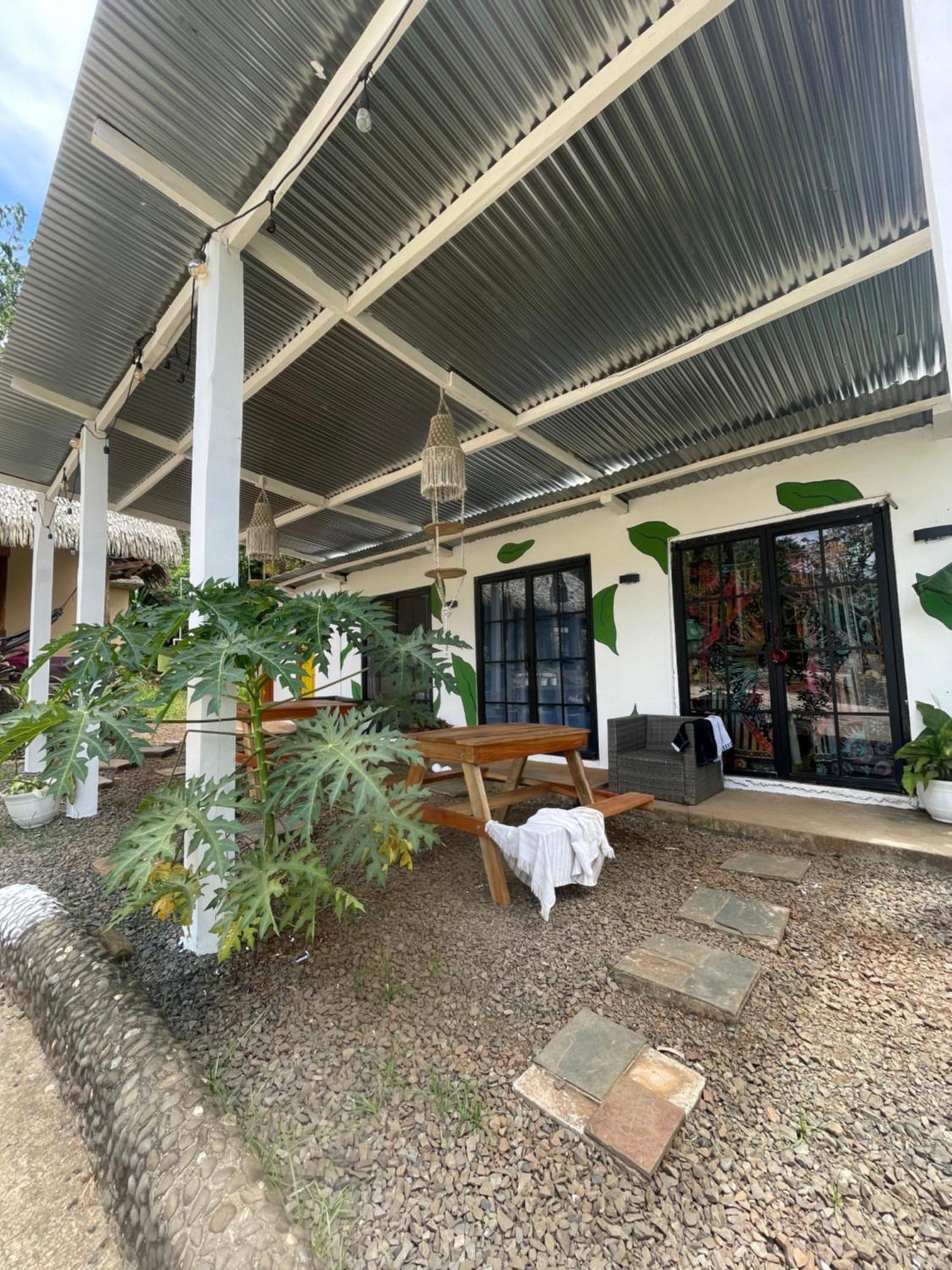 Urbanos Jungle Hostel 圣卡塔利娜岛 外观 照片